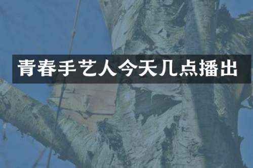 青春手艺人今天几点播出