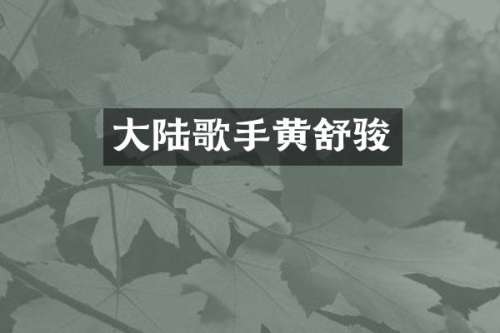 大陆歌手黄舒骏