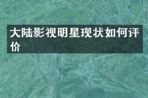 大陆影视明星现状如何评价