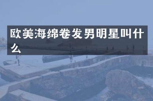 欧美海绵卷发男明星叫什么