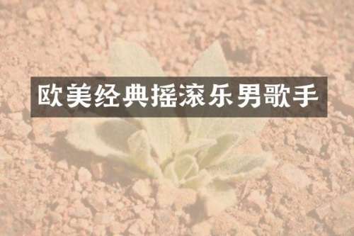 欧美经典摇滚乐男歌手