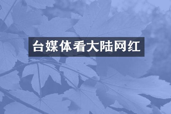 台媒体看大陆网红