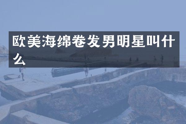 欧美海绵卷发男明星叫什么