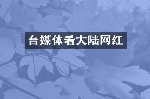 台媒体看大陆网红
