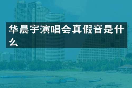 华晨宇演唱会真假音是什么