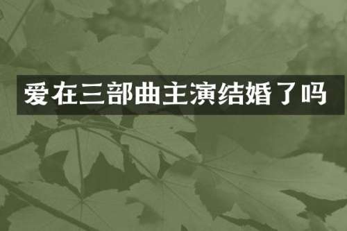 爱在三部曲主演结婚了吗