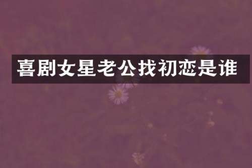 喜剧女星老公找初恋是谁