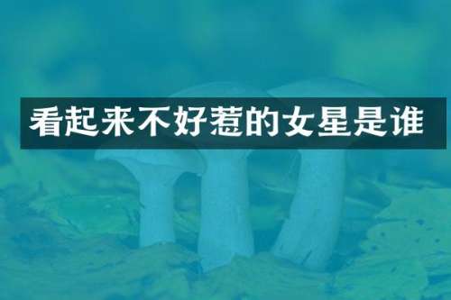 看起来不好惹的女星是谁