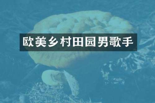 欧美乡村田园男歌手