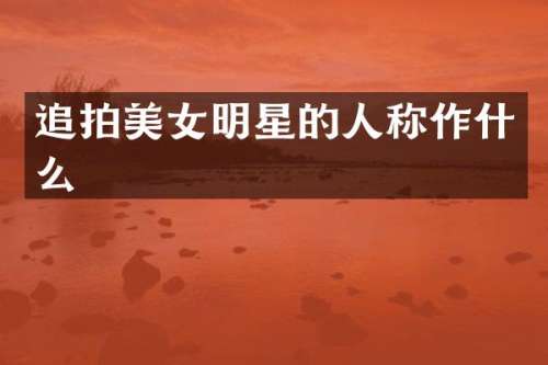 追拍明星的人称作什么