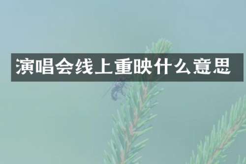 演唱会线上重映什么意思