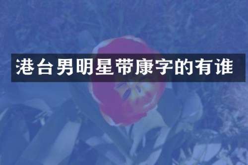 港台男明星带康字的有谁