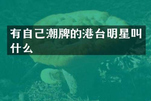 有自己潮牌的港台明星叫什么