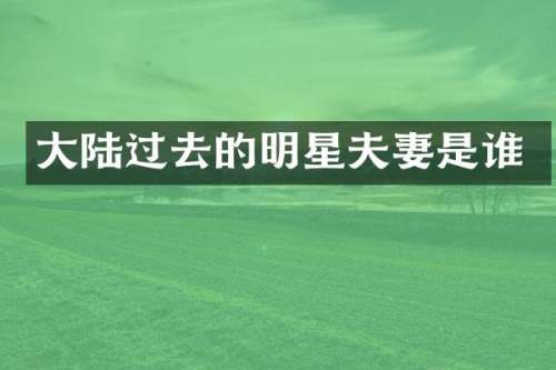 大陆过去的明星夫妻是谁