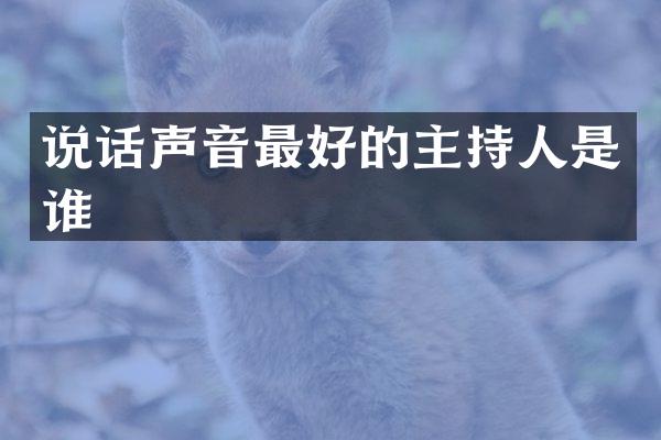 说话声音最好的主持人是谁