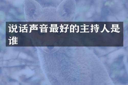 说话声音最好的主持人是谁