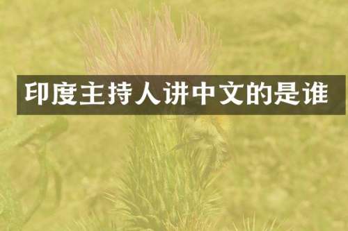 印度主持人讲中文的是谁