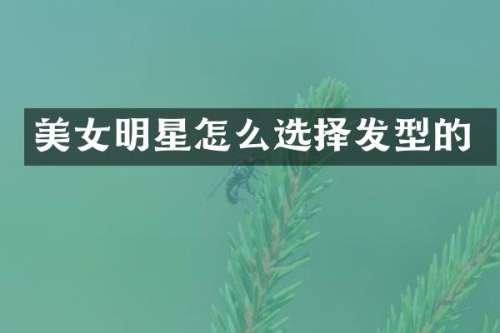 明星怎么选择发型的