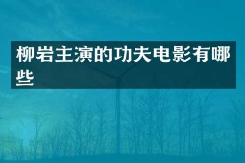 柳岩主演的功夫电影有哪些