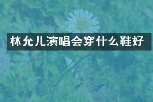 林允儿演唱会穿什么鞋好