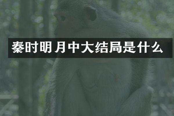 秦时明月中大结局是什么
