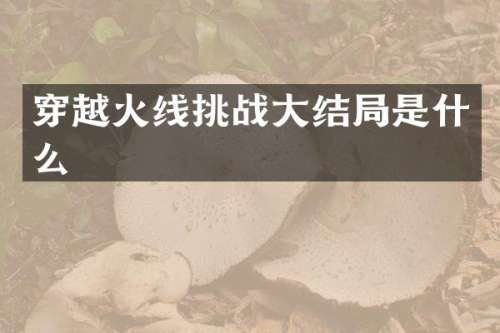 穿越火线挑战大结局是什么