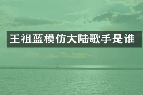 王祖蓝模仿大陆歌手是谁