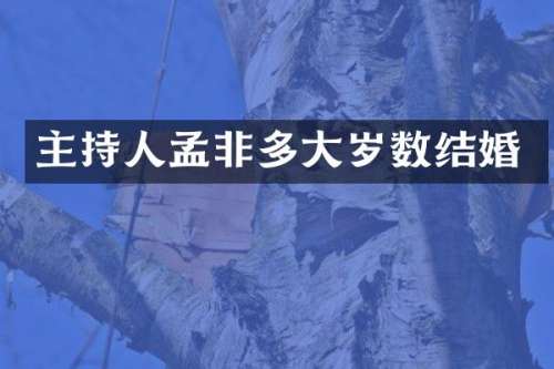 主持人孟非多大岁数结婚
