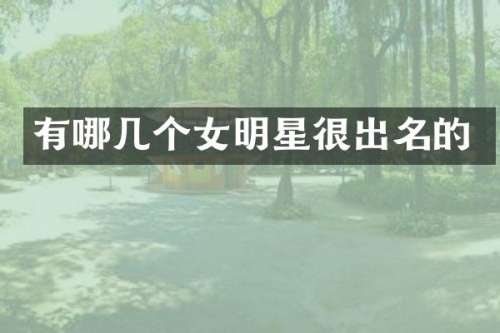 有哪几个女明星很出名的