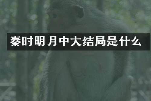 秦时明月中大结局是什么