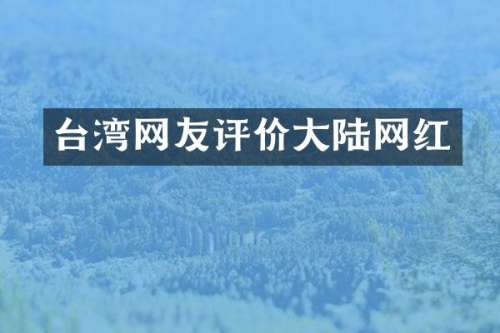 台湾网友评价大陆网红