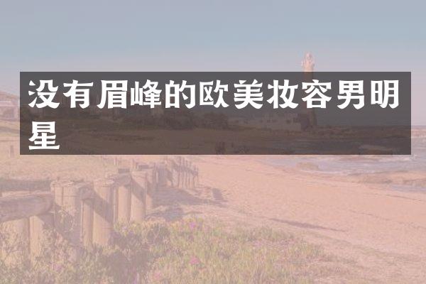 没有眉峰的欧美妆容男明星