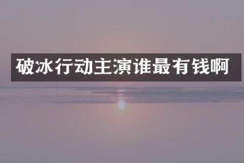 破冰行动主演谁最有钱啊