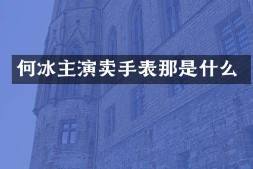 何冰主演卖手表那是什么