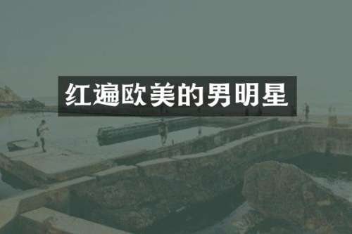 红遍欧美的男明星