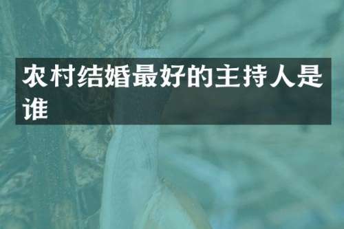 农村结婚最好的主持人是谁
