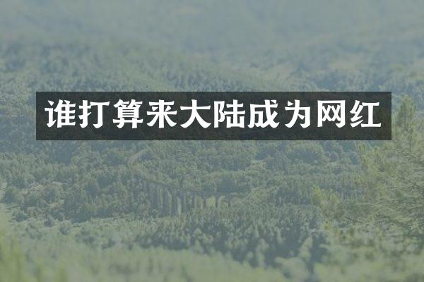 谁打算来大陆成为网红