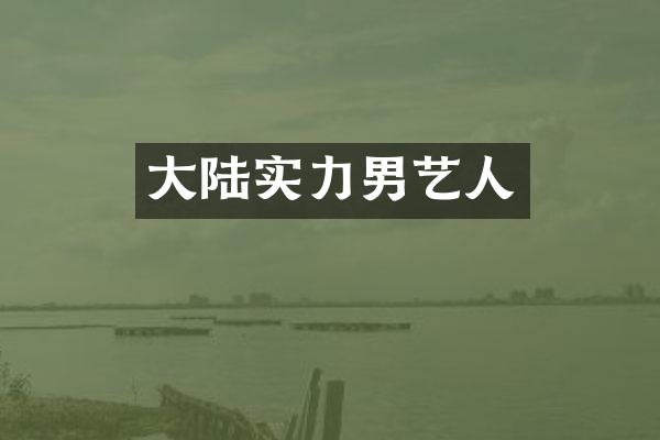 大陆实力男艺人