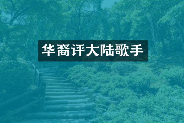 华裔评大陆歌手