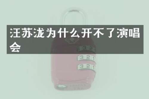 汪苏泷为什么开不了演唱会