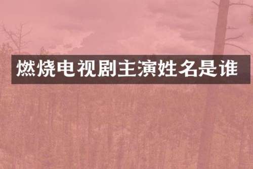 燃烧电视剧主演姓名是谁