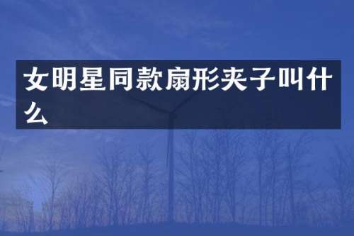 女明星同款扇形夹子叫什么