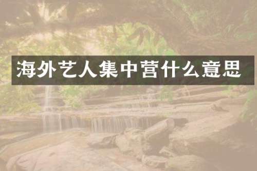 海外艺人集中营什么意思