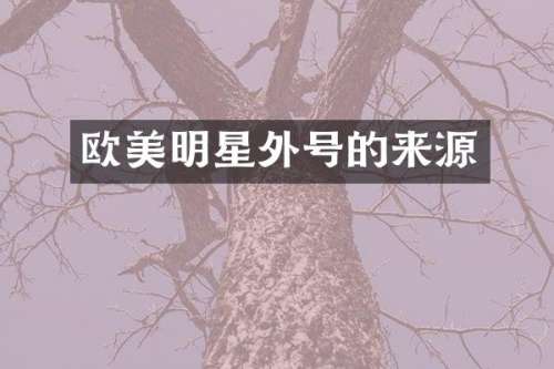欧美明星外号的来源