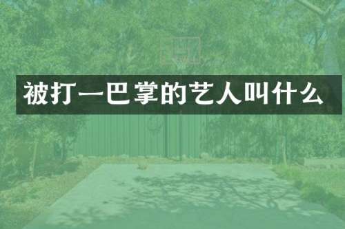 被打一巴掌的艺人叫什么