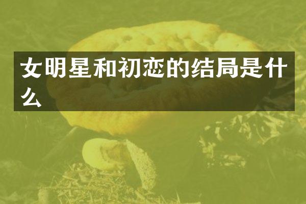 女明星和初恋的结局是什么