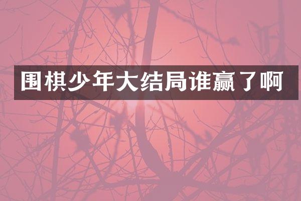 围棋少年大结局谁赢了啊