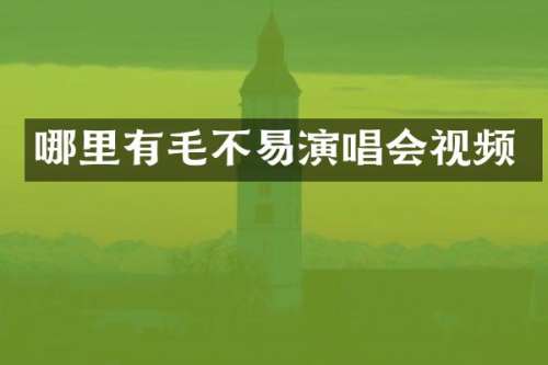 哪里有毛不易演唱会视频