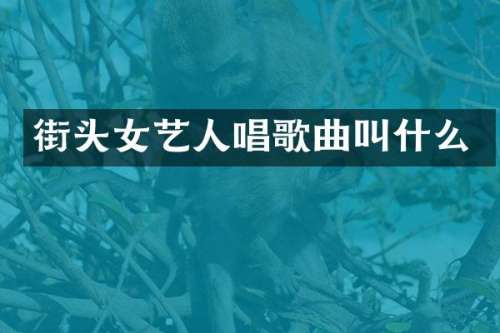 街头女艺人唱歌曲叫什么