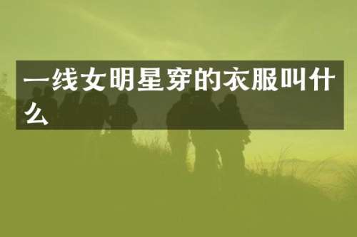 一线女明星穿的衣服叫什么